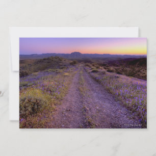 Carte Desert Gravel Road