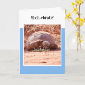 Carte Desert Tortoise Folded Birthday Card (Fleur jaune)