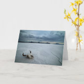 Carte Deserts | Bonneville Salt Flats Utah (Fleur jaune)