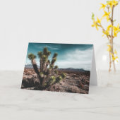 Carte Deserts | Cholla (Fleur jaune)