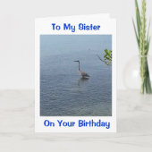 CARTE DÉSIREZ ENVOYER MON SITE CET ANNIVERSAIRE SOUHAITE (Devant)