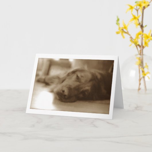 Carte désolé (Fleur jaune)