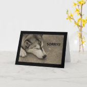 Carte Désolé ! (Fleur jaune)