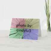 CARTE DÉSOLÉ (Dos)