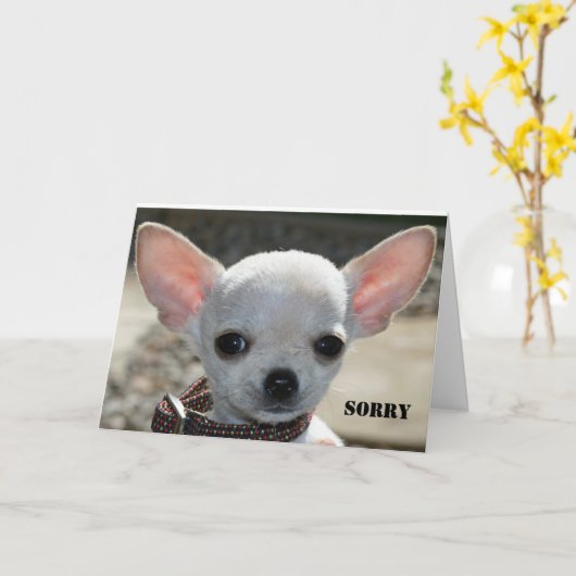 CARTE DÉSOLÉ (Fleur jaune)