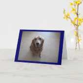 Carte Désolé ! (Fleur jaune)