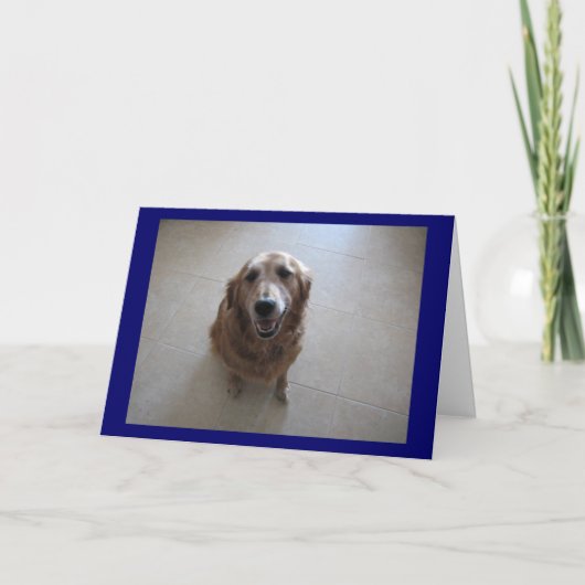 Carte Désolé ! (Devant)