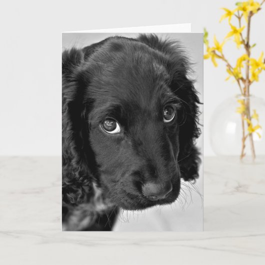 Carte Désolé (Fleur jaune)