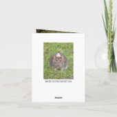 Carte Désolé anniversaire manqué tardivement - rats (Dos)