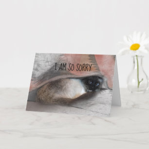 Carte Désolé avec retard chat siamois photo remplaçable