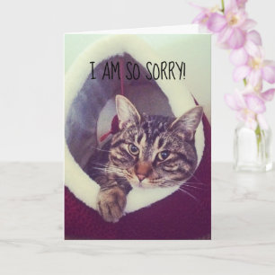 Carte Désolé avec retard Photo de remplacement de chaton