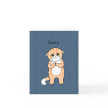 Désolé Cat Mat Sad Orange Tabby Cat Excusations