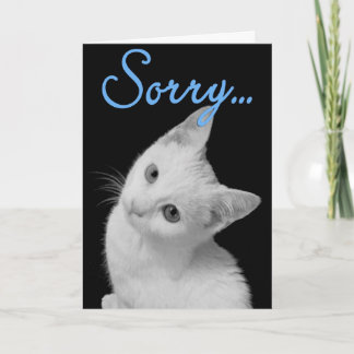 Carte Désolé Cute Turkish Van Kitten Photo noir et blanc