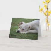 Carte Désolé de ne pas vous sentir si bien. (Fleur jaune)