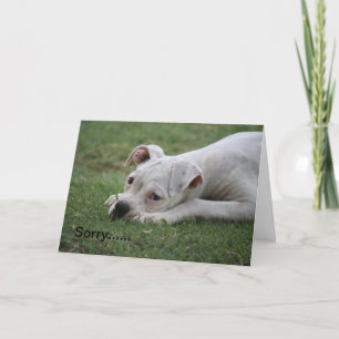 Carte Désolé de ne pas vous sentir si bien.