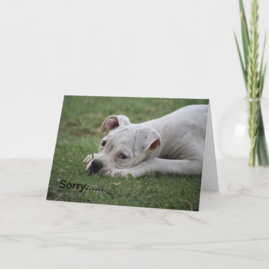 Carte Désolé de ne pas vous sentir si bien. (Devant)