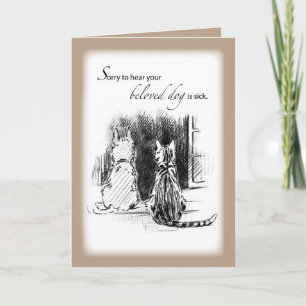Carte Désolé d'entendre le chien est malade, chat et chi