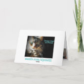 Carte Désolé Kitty avec les yeux tristes (Dos)