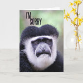 Carte Désolé Monkey. (Fleur jaune)