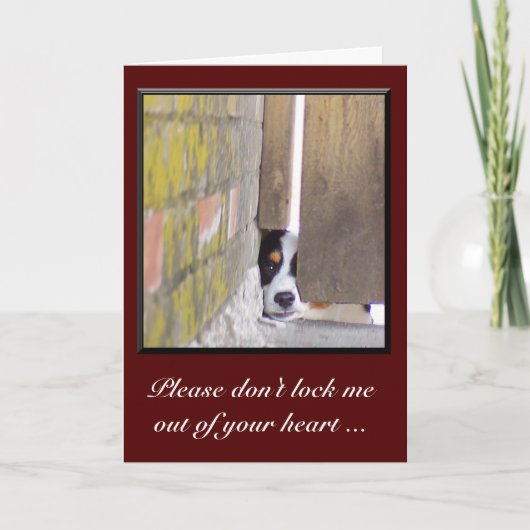 Carte Désolé - Ne me verrouillez pas (Devant)