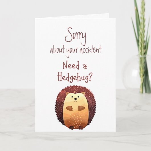 Carte Désolé pour Accident Flowers Fun Hedgehog Hug (Devant)