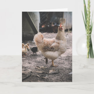 Carte Désolée d'être si chook