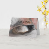 Carte Désolée Siamese Kitty - Photo remplaçable (Fleur jaune)