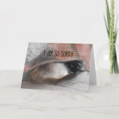 Carte Désolée Siamese Kitty - Photo remplaçable (Devant)