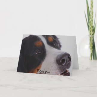 Carte Désolés, vous avez perdu votre animal familier