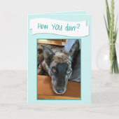 Carte d'espace réservé photo pour chien de grande (Devant)