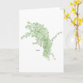 Carte Dessin de thym (Fleur jaune)