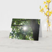 Carte Dessus d'arbre (Fleur jaune)