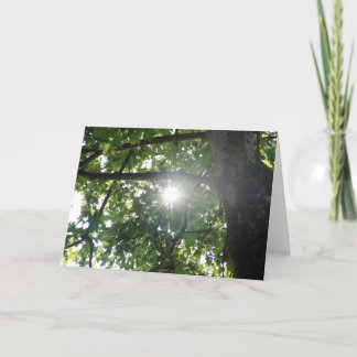 Carte Dessus d'arbre