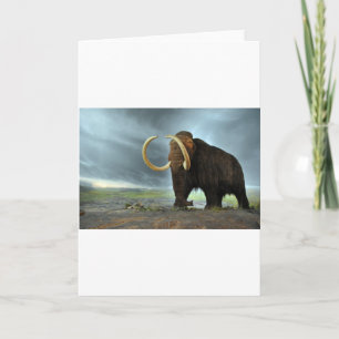 Carte Destin de mammoth laine