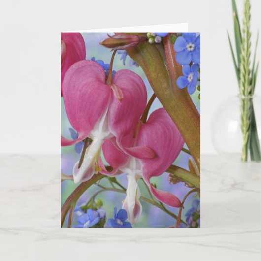 Carte Détail des coeurs saignants et Brunnera Jack (Devant)