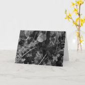 Carte Détail des raisins, Draper Vineyard, Napa, 1966 (Fleur jaune)