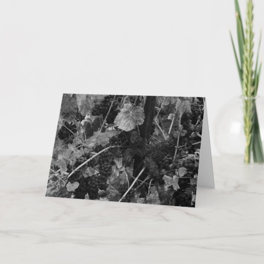 Carte Détail des raisins, Draper Vineyard, Napa, 1966 (Devant)