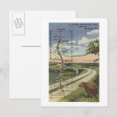 Carte détaillée de la "Route du rêve" (Devant / Derrière)