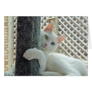 Carte d'étreinte de sérénité