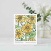 Carte d'étude sur les plantes Calendula Materia Me (Debout devant)