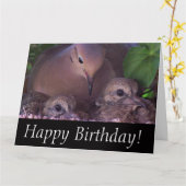 Carte Deuil de la colombe Bébé Oiseaux Faune Animaux (Fleur jaune)