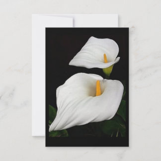 Carte Deux Calla Lilies #9