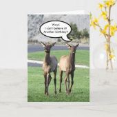 Carte Deux Calves d'Elc Joyeux anniversaire (Fleur jaune)