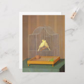 Carte Deux Canaries en cage (par Antonio Donghi) (Devant/Arrière en situation)