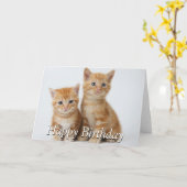Carte Deux chatons adorables (Fleur jaune)