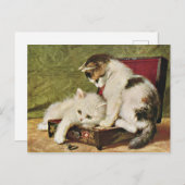 Carte Deux Chatons Joueurs (Devant / Derrière)