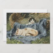 Carte Deux chatons | Julius Adam le Jeune (Devant)