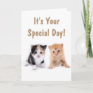Carte Deux chatons mignons Anniversaire
