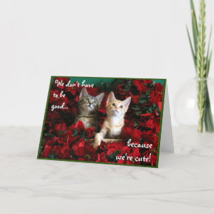 Carte Deux chatons mignons et des poinsettias rouges