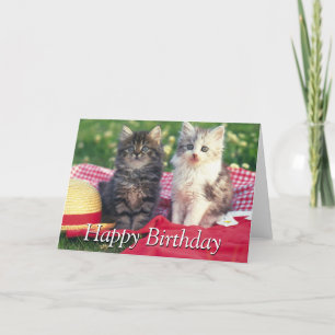 Carte Deux chatons se reposant sur une couverture